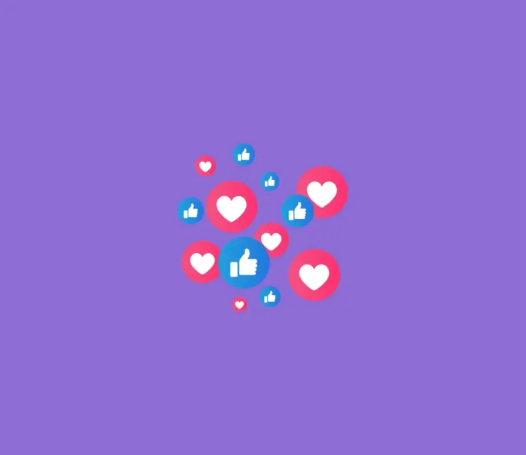 How can candidates view, delete, and manage companies from their following list?